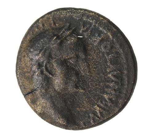 Galba phrygia - ad,,